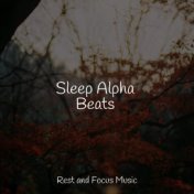 Sleep Alpha Beats