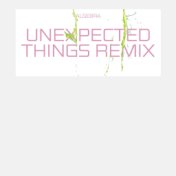 Unexpected Things (Remixes)