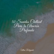 50 Sonidos Chillout Para la Atención Profunda