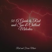50 A Guide to Rest and Spa & Chillout Melodies