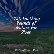 #50 Soothing Sounds of Nature for Sleep
