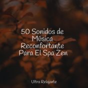 50 Sonidos de Música Reconfortante Para El Spa Zen