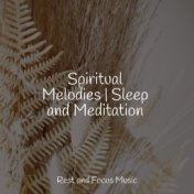 Spiritual Melodies | Sleep and Meditation