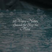 50 Winter Nature Sounds for Sleep the Mind