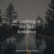 50 Soothing at the Spa Ambience