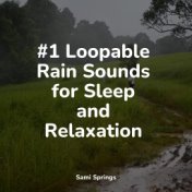 #1 Loopable Rain Sounds for Sleep and Relaxation