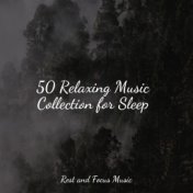 50 Relaxing Music Collection for Sleep