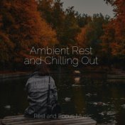 Ambient Rest and Chilling Out