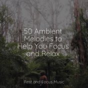 50 Ambient Melodies to Help You Focus and Relax