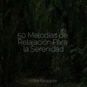 50 Melodías de Relajación Para la Serenidad