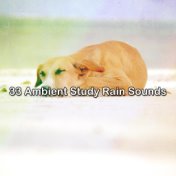 33 Ambient Study Rain Sounds