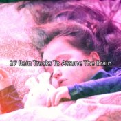 27 Rain Tracks to Attune the Brain