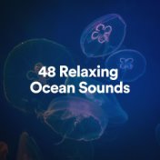 48 Relaxing Ocean Sounds