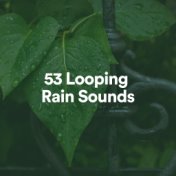 53 Looping Rain Sounds