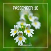 Passenger 10