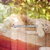 48 Pick up Serenity