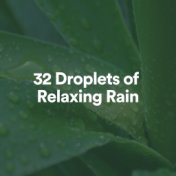 32 Droplets of Relaxing Rain