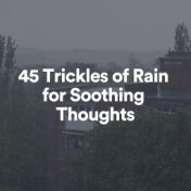 45 Trickles of Rain for Soothing Thoughts