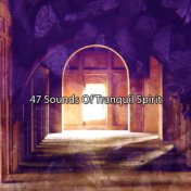 47 Sounds of Tranquil Spirit