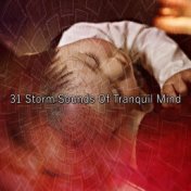 31 Storm Sounds of Tranquil Mind