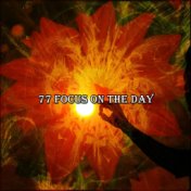 77 Focus on the Day