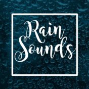 Relaxing Rain Sounds For Deep Sleep: Meditation