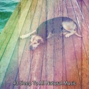 43 Sleep to All Natural Music