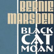 Black Cat Moan