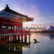 61 Tranquility Soothing Sounds