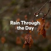 Rain Through the Day