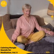 Calming Mangle Sounds for Meditation, Vol. 5