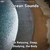 #01 Ocean Sounds for Relaxing, Sleep, Studying, the Body