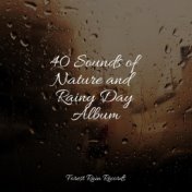 40 Sounds of Nature and Rainy Day Album