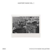 Auditory Music Vol. 1, KineMaster Music Collection