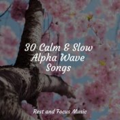 30 Calm & Slow Alpha Wave Songs