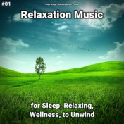 #01 Relaxation Music for Sleep, Relaxing, Wellness, to Unwind