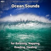 #01 Ocean Sounds for Relaxing, Napping, Reading, Healing