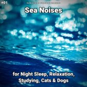 #01 Sea Noises for Night Sleep, Relaxation, Studying, Cats & Dogs