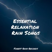 Essential Relaxation Rain Songs