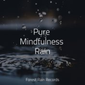 Pure Mindfulness Rain