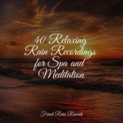 40 Relaxing Rain Recordings for Spa and Meditation