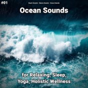 #01 Ocean Sounds for Relaxing, Sleep, Yoga, Holistic Wellness