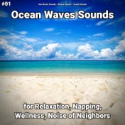 #01 Ocean Waves Sounds for Relaxation, Napping, Wellness, Noise of Neighbors