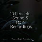 40 Peaceful Spring & Rain Recordings