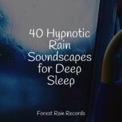 40 Hypnotic Rain Soundscapes for Deep Sleep