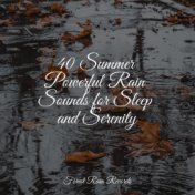 40 Summer Powerful Rain Sounds for Sleep and Serenity