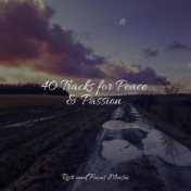 40 Tracks for Peace & Passion