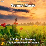 #01 Serene Music to Relax, for Sleeping, Yoga, to Release Serotonin