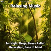 #01 Relaxing Music for Night Sleep, Stress Relief, Relaxation, Ease of Mind