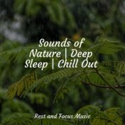 Soothing Melodies for Deep Sleep